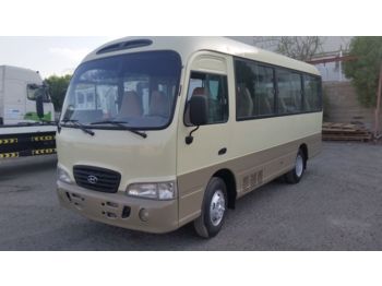 TOYOTA Coaster -/- Hyundai County .... 25 seats ....BELGIUM .. - Prigradski autobus