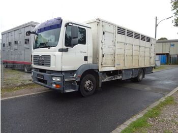 Kamion za prijevoz stoke MAN 15.280 LL TGM  Menke Einstock: slika Kamion za prijevoz stoke MAN 15.280 LL TGM  Menke Einstock