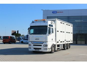 Kamion za prijevoz stoke MAN TGA 26.540 6X2-2 LL RETARDER, FOR  ANIMALS: slika Kamion za prijevoz stoke MAN TGA 26.540 6X2-2 LL RETARDER, FOR  ANIMALS