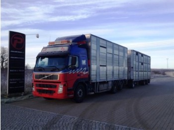 Kamion za prijevoz stoke Volvo FM12 420 Animal transport with henger - Euro 3: slika Kamion za prijevoz stoke Volvo FM12 420 Animal transport with henger - Euro 3