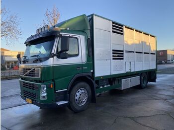 Kamion za prijevoz stoke Volvo FM 9.300 4X2 - LIVESTOCK + HYDRAULIC FLOOR - MAN: slika Kamion za prijevoz stoke Volvo FM 9.300 4X2 - LIVESTOCK + HYDRAULIC FLOOR - MAN