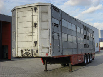 Pezzaioli SBA63U / 3 Achsen / BPW-Achsen / 3 Stock  - Poluprikolica za prijevoz stoke