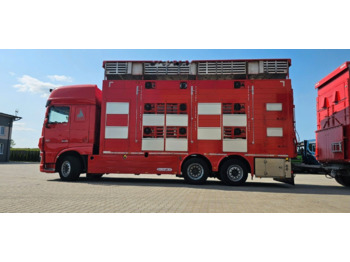 Kamion za prijevoz stoke DAF XF 105 510