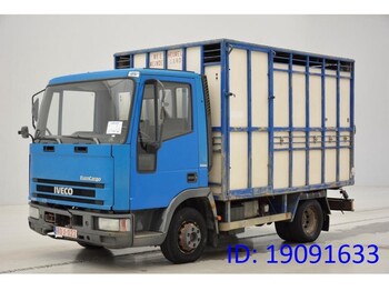 Kamion za prijevoz stoke IVECO