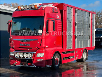 Kamion za prijevoz stoke MAN TGX 18.580