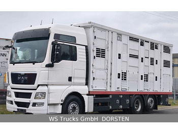 Kamion za prijevoz stoke MAN TGX 26.440