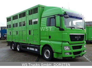Kamion za prijevoz stoke MAN TGX 26.480