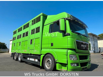 Kamion za prijevoz stoke MAN TGX 26.480