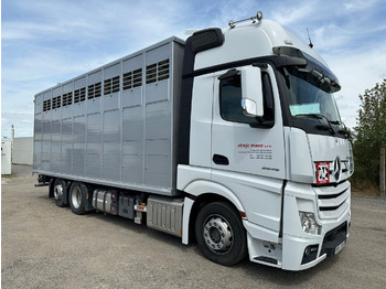 Kamion za prijevoz stoke MERCEDES-BENZ Actros 2545
