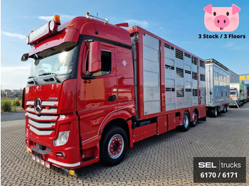 Kamion za prijevoz stoke MERCEDES-BENZ Actros