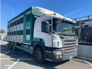 Kamion za prijevoz stoke SCANIA P 380