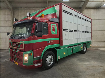 Kamion za prijevoz stoke VOLVO FM