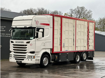 Scania R490 EU6 6x2 4.Stock Menke m. Hubdach & Tränke  - Kamion za prijevoz stoke: slika Scania R490 EU6 6x2 4.Stock Menke m. Hubdach & Tränke  - Kamion za prijevoz stoke