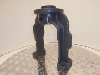 Gusjenice CASE