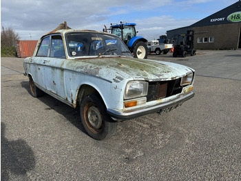 Automobil Peugeot 304: slika Automobil Peugeot 304