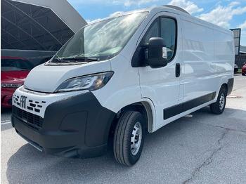 Mali kombi FIAT Ducato
