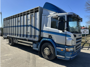 Kamion za prijevoz stoke SCANIA P 310