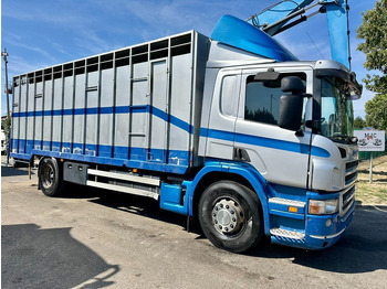 Kamion za prijevoz stoke SCANIA P 310