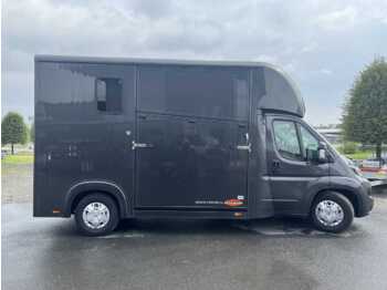 Kamion za prijevoz konja FIAT