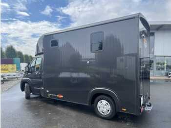 Kamion za prijevoz konja Fiat Böckmann Compact Basic LKW: slika Kamion za prijevoz konja Fiat Böckmann Compact Basic LKW