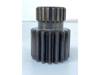 : fotografija zaglavlja