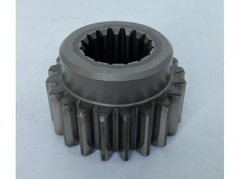 : fotografija zaglavlja