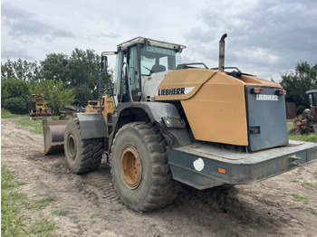 Mjenjač za Poljoprivredni strojevi Liebherr L544 - na części - most kabina skrzynia biegów silnik: slika Mjenjač za Poljoprivredni strojevi Liebherr L544 - na części - most kabina skrzynia biegów silnik