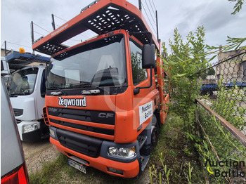 Autotransporter DAF