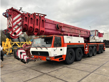 Autodizalica za sve terene GROVE