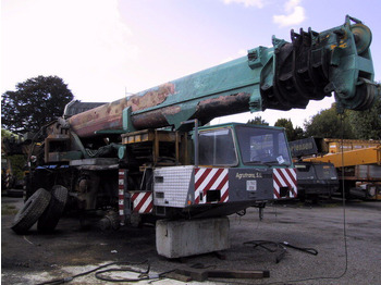 Autodizalica za sve terene TEREX
