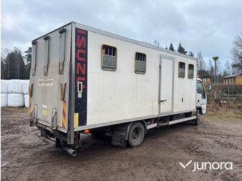 Kamion za prijevoz konja Hästlastbil - Isuzu, NQR70T: slika Kamion za prijevoz konja Hästlastbil - Isuzu, NQR70T