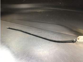 : fotografija zaglavlja