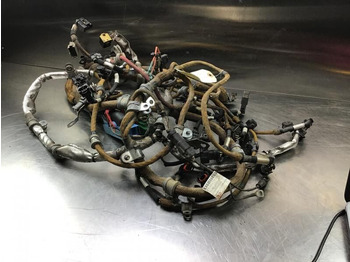 : fotografija zaglavlja