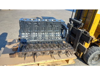 : fotografija zaglavlja