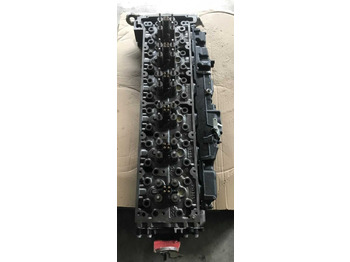 : fotografija zaglavlja