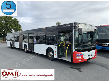 Zglobni autobus MAN Lion's City A23