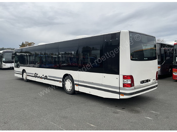 Zakup MAN A 37 Lion`s City MAN A 37 Lion`s City: slika Zakup MAN A 37 Lion`s City MAN A 37 Lion`s City