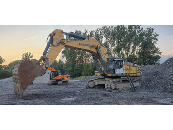 Bager gusjeničar LIEBHERR