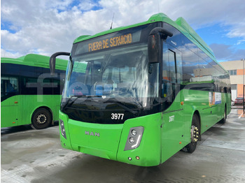 Gradski autobus Man Castrosua: slika Gradski autobus Man Castrosua