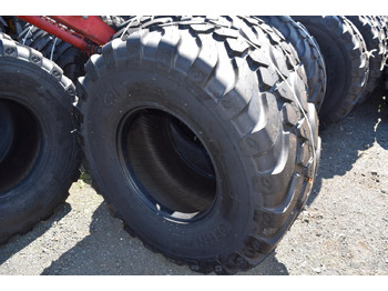 : fotografija zaglavlja