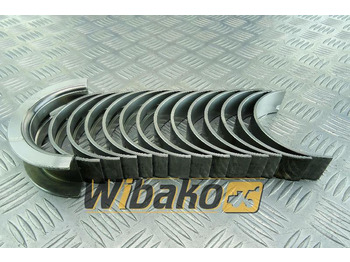 Ležaj motora