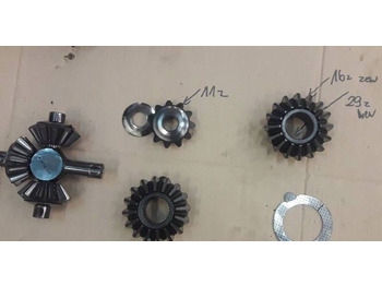 : fotografija zaglavlja