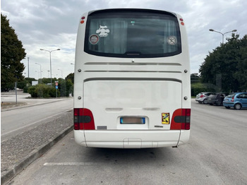 Zakup  Man Lion's Coach Man Lion's Coach: slika Zakup  Man Lion's Coach Man Lion's Coach