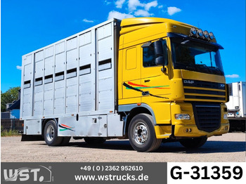 Kamion za prijevoz konja DAF XF
