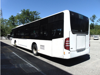 Gradski autobus N.1 MERCEDES BENZ CITARO O530 LF – Anno 2009: slika Gradski autobus N.1 MERCEDES BENZ CITARO O530 LF – Anno 2009