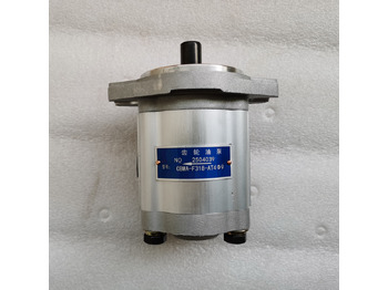 Zakup QINGDAO PROMISING Hydraulic Pump CBWA-F318-AT4Φ9 QINGDAO PROMISING Hydraulic Pump CBWA-F318-AT4Φ9: slika Zakup QINGDAO PROMISING Hydraulic Pump CBWA-F318-AT4Φ9 QINGDAO PROMISING Hydraulic Pump CBWA-F318-AT4Φ9