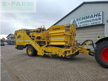 : fotografija zaglavlja