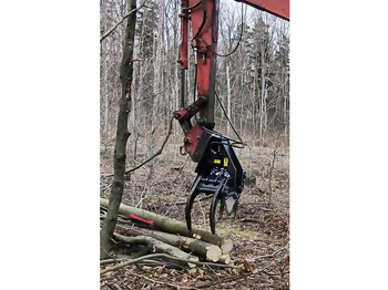 : fotografija zaglavlja