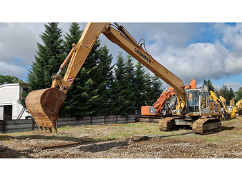 Bager 2006 LIEBHERR R924B LONG REACH TRACKED EXCAVATOR: slika Bager 2006 LIEBHERR R924B LONG REACH TRACKED EXCAVATOR