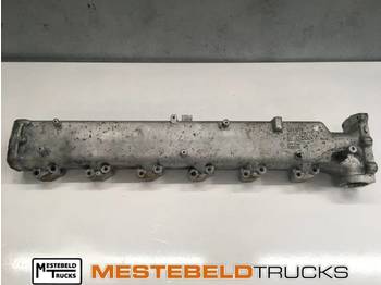 : fotografija zaglavlja